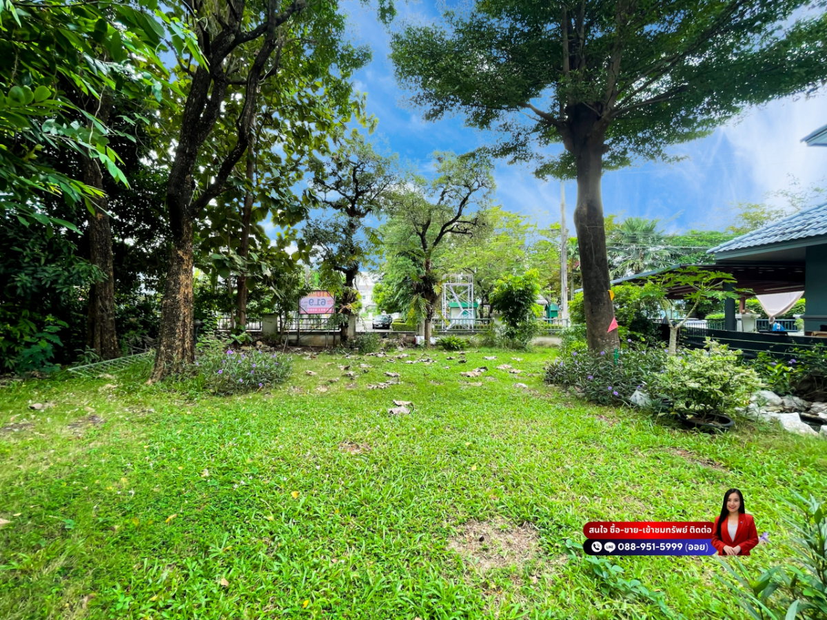 รูป ที่ดินหมู่บ้านกรีนวิลล์ ถนนสามวา (ซอยสามวา 11) ถมแล้ว ขนาด 61.9 ตร.ว. - รูปที่ 5/12