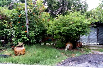 Land for sale Bang Bo Samut Prakarn : Land for sale, Khlong Dan Bang Bo Samut Prakan