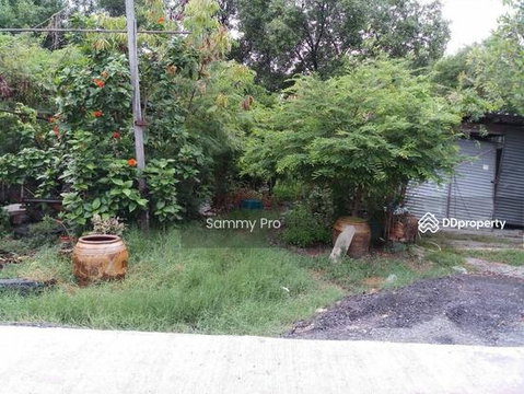 Land for sale, Khlong Dan Bang Bo Samut Prakan