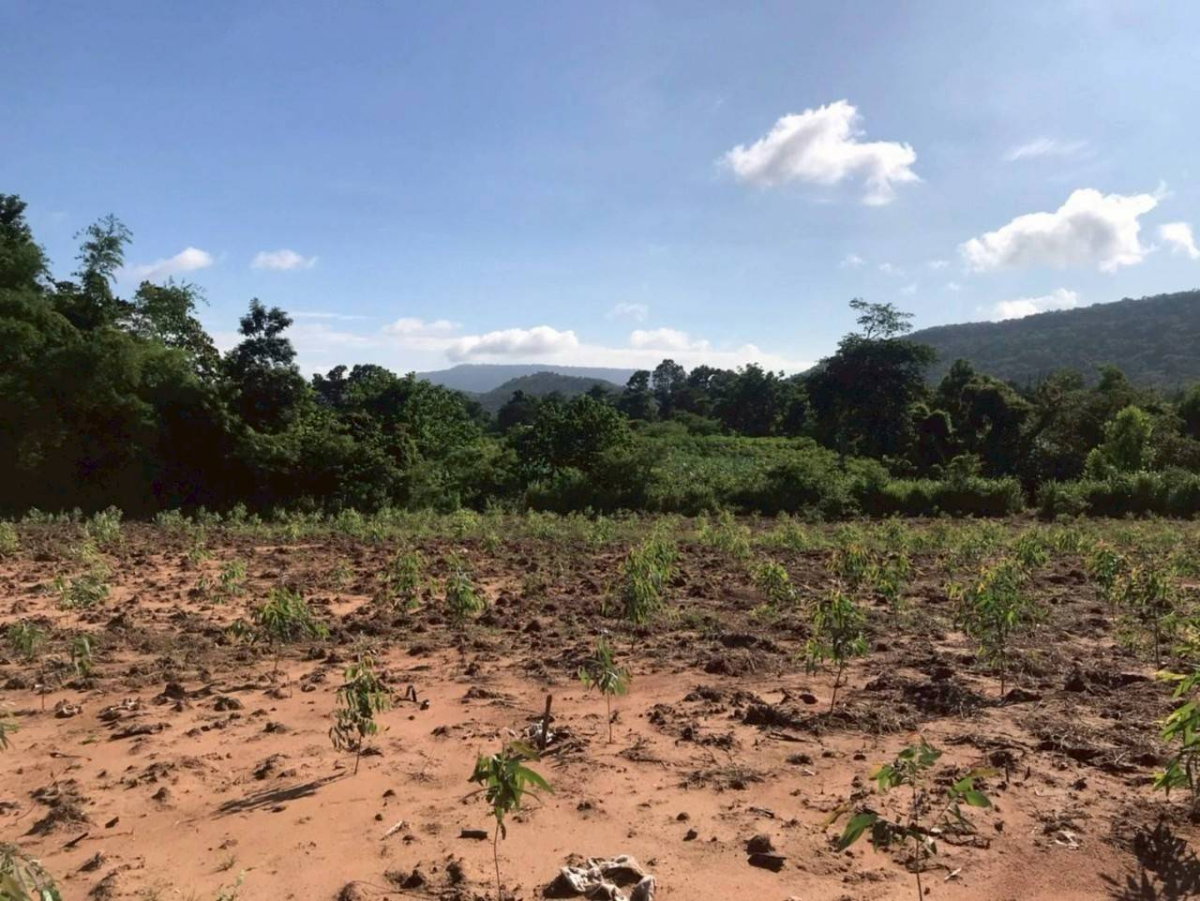 picture Land for sale in Lopburi Province, Lam Sonthi District. - 8/11