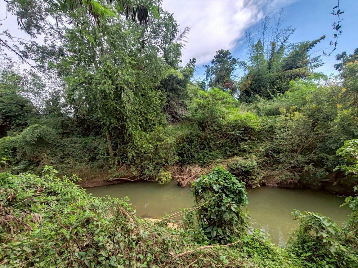 picture Land for sale in Lopburi Province, Lam Sonthi District. - 2/11