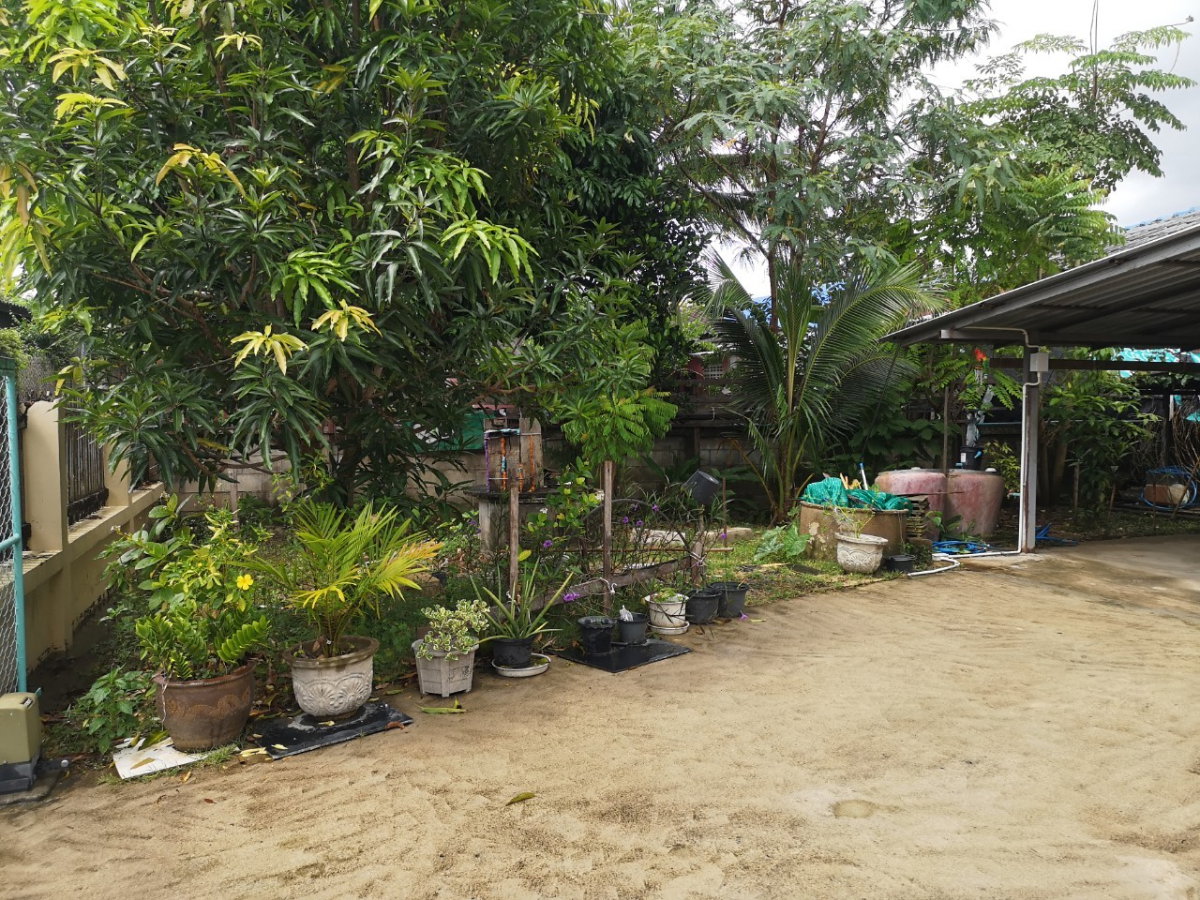 รูป ปล่อยเช่าบ้านเดี่ยว 2 ชั้น  เชียงใหม่ - รูปที่ 12/32