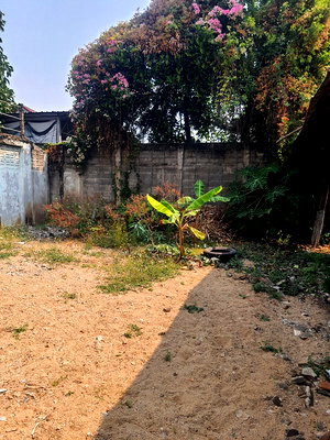 Land for sale Chiang Mai University : Land in old city area Chiang Mai, 102 sq.w., near Sunday Market Walking Street for sale, 13.8 mb. (negotiable)