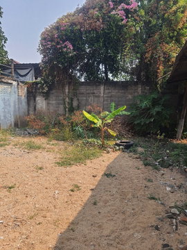 ที่ดินในคูเมืองเชียงใหม่ประมาณ 102 ตรว. 13.8 ล้าน (ราคาคุยกันได้)