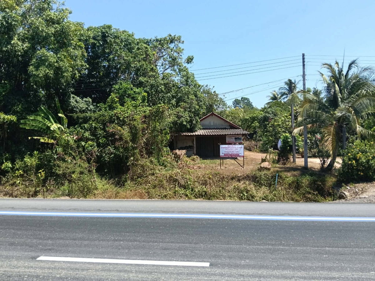รูป ขายบ้าน2หลัง พร้อมที่ดิน ติดถนนทางหลวง - รูปที่ 2/4