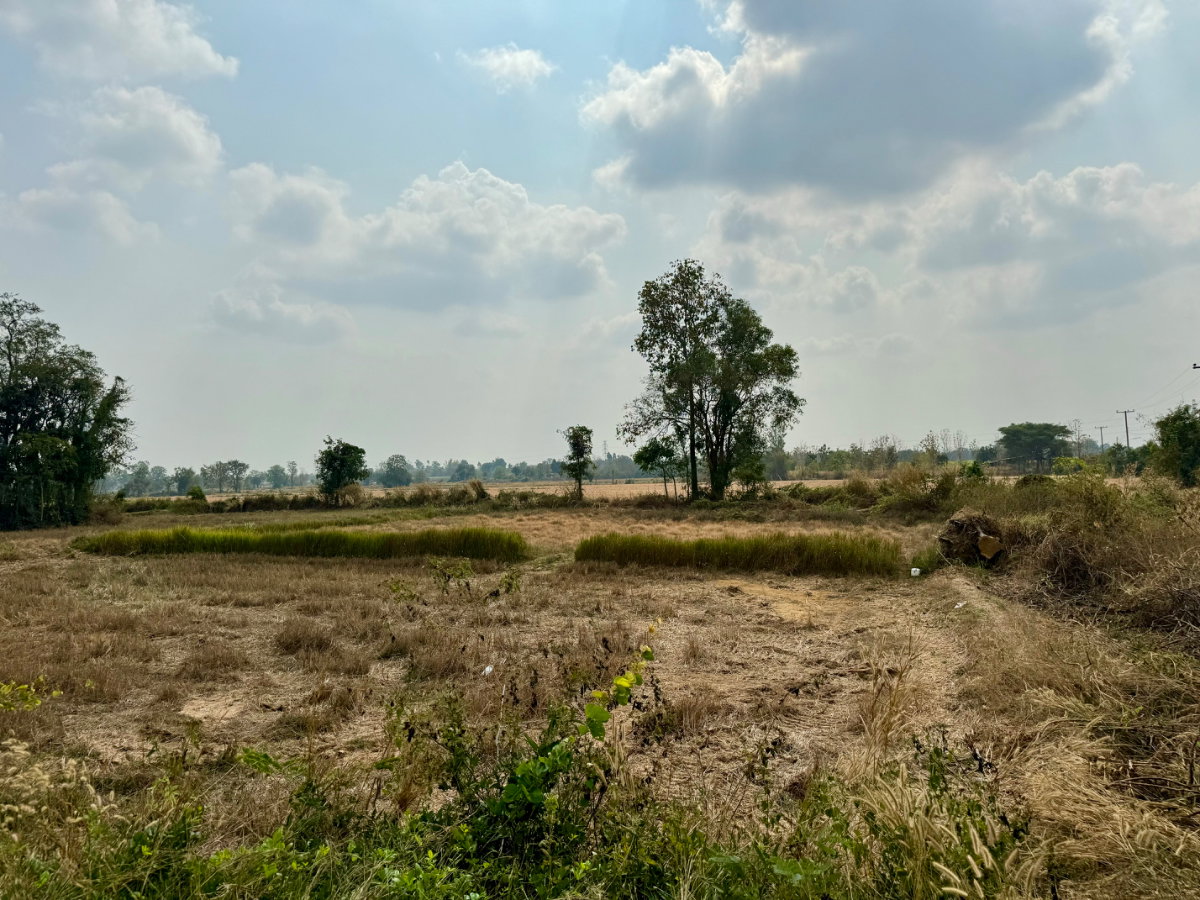 รูป ขายที่ดินโฉนด อำเภอห้วยแถลง จ.นครราชสีมา - รูปที่ 7/7