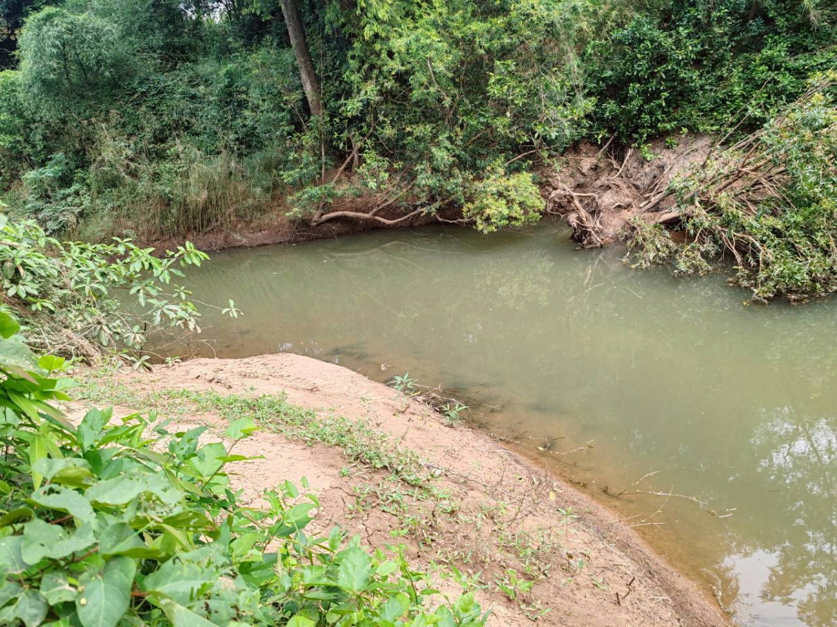 picture Land for sale in Lopburi Province, Lam Sonthi District. - 5/11
