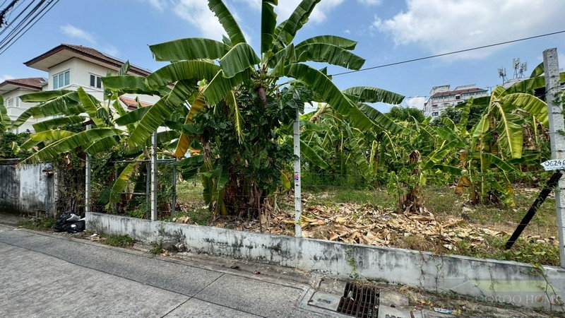 รูป ขายที่ดินแปลงมุม 130 ตรว ติดถนน 2 ด้าน ประชาชื่น 28 ทำเลทองใกล้รถไฟฟ้า 2 สาย เข้าออกได้ 2 ทาง - รูปที่ 5/8