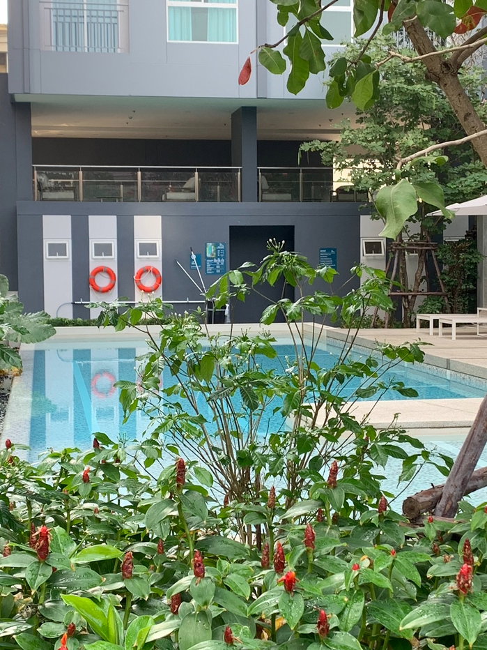 รูป ให้เช่า ลุมพินีวิลล์ จรัญ - ไฟฉาย ติดถนนจรัญ สถานีรถไฟฟ้า ห้องมุม วิวสวน ชั้น 6  - รูปที่ 13/14