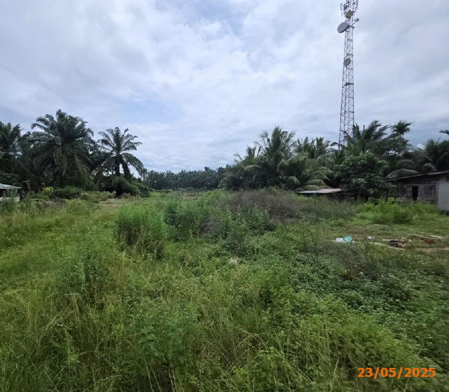 picture LAND 438 Sq.w. Nua Khlong Krabi for 1.7M - 6/9