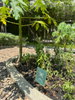 listing thumbnail image 16