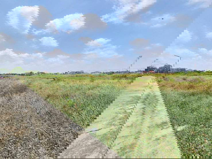 รูป ขายที่ดิน ทำเลทอง ติดถนนคอนกรีต ใกล้สนามบินสุรรณภูมิ - รูปที่ 6/7