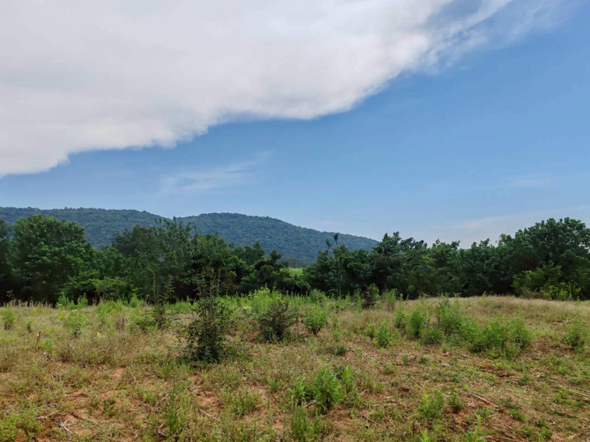 picture Land for sale in Lopburi Province, Lam Sonthi District. - 3/11