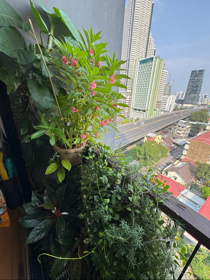 รูป Noble Revo Silom คอนโดใจกลางเมือง สีลม สาทร ใกล้ BTS สุรศักดิ์ 150 M - รูปที่ 21/29