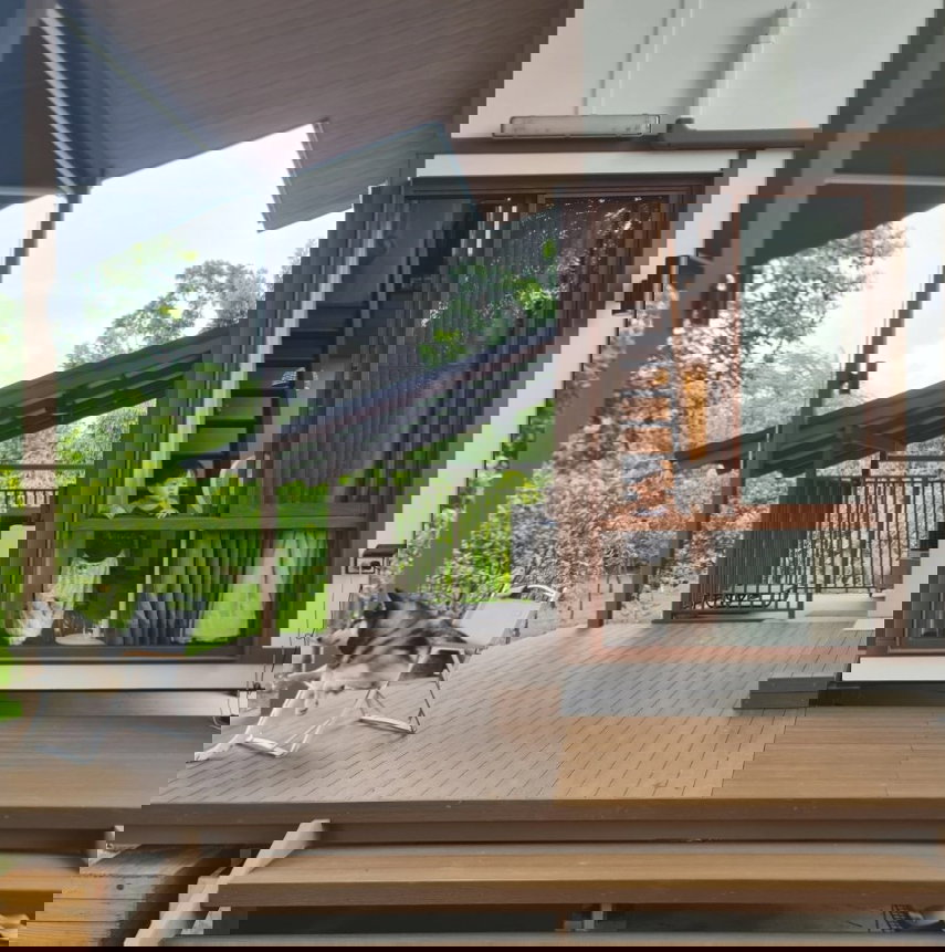 รูป ขายบ้านสำเร็จรูป บ้านโมดูลาร์ สไตล์ loft 1 ห้องนอน 1ห้องน้ำ ระเบียง และมีบ้านสำหรับสัตว์เลี้ยง รับสร้างทั่วประเทศ - รูปที่ 6/15