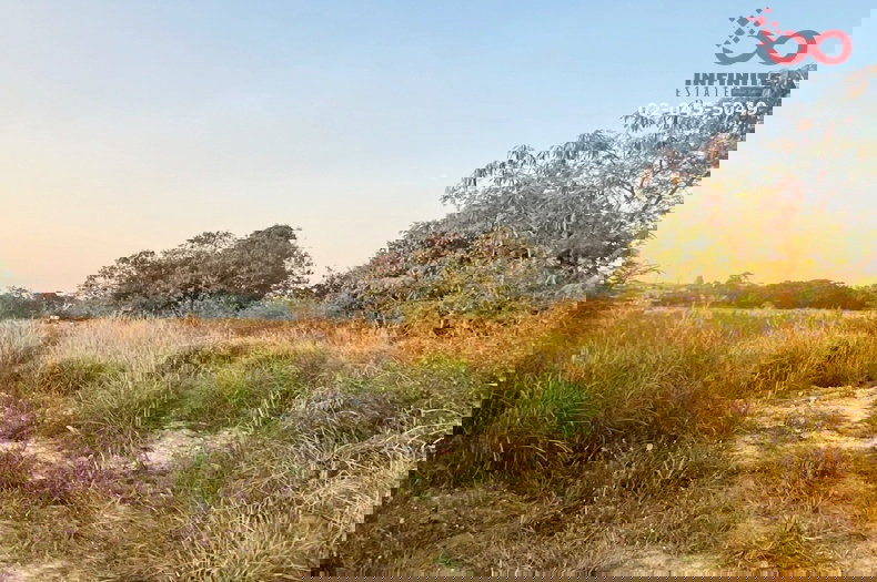 รูป ขายที่ดิน 50 ตร.ว.พรประภานิมิตร 33 พัทยา-บางละมุง ชลบุรี ถมแล้ว - รูปที่ 5/10