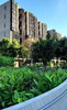 listing thumbnail image 7