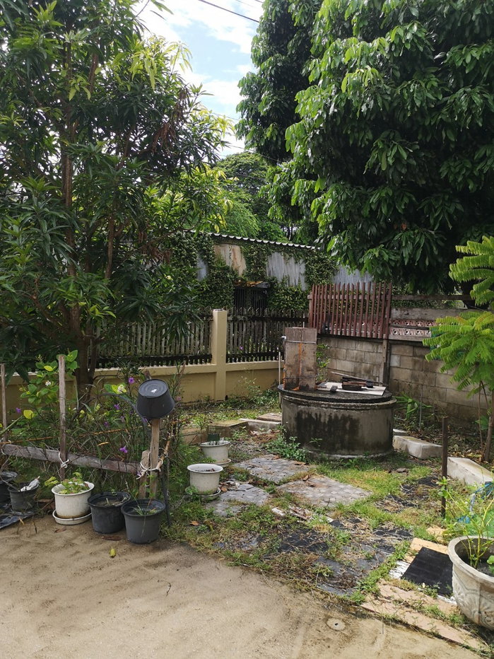 รูป ขายบ้านเดี่ยว 2 ชั้น เชียงใหม่ - รูปที่ 24/25