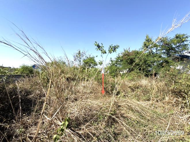 picture LAND 400.1 Sq.w. Warin Chamrap Ubon Ratchathani for 2.7M - 5/16