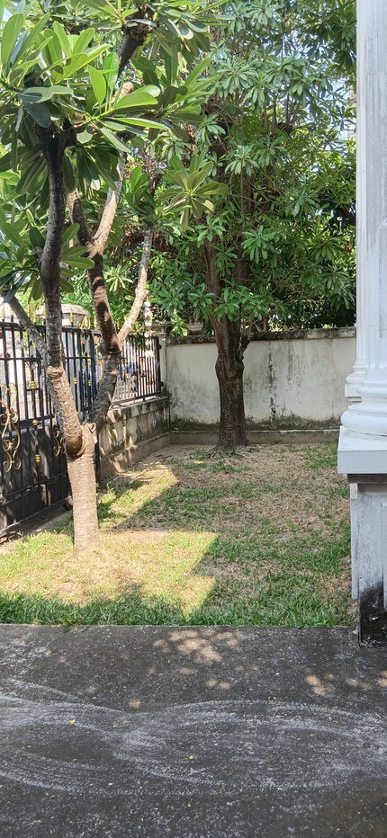 รูป ให้เช่า บ้านเดี่ยวในเมือง บางนา-ศรีนครินทร์-สวนหลวง ใกล้แหล่งไลฟ์สไตล์  3 ห้องนอน 2 ห้องน้ำ 51 ตรว - รูปที่ 4/10