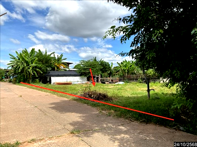 LAND 210 Sq.w. Wang Sam Mo Udon Thani for 2M
