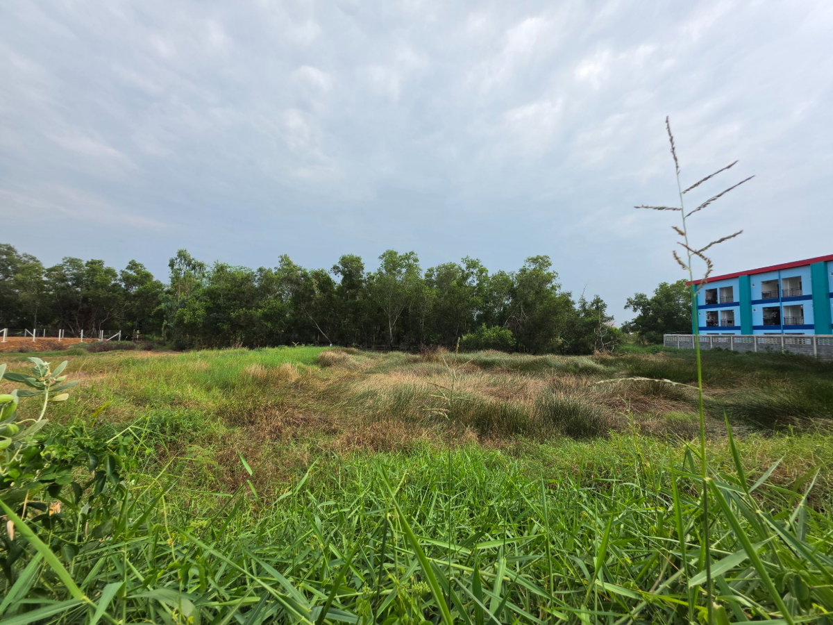 รูป 💥ขายที่ดินทำเลทอง 1 ไร่ ติด "สุธิญดา อพาร์ทเม้นท์" คลอง 4 – เหมาะสร้างหอพัก/โกดัง/บ้านพักอาศัย - รูปที่ 6/7