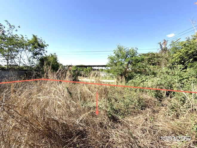 picture LAND 400.1 Sq.w. Warin Chamrap Ubon Ratchathani for 2.7M - 4/16