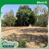 listing thumbnail image 11