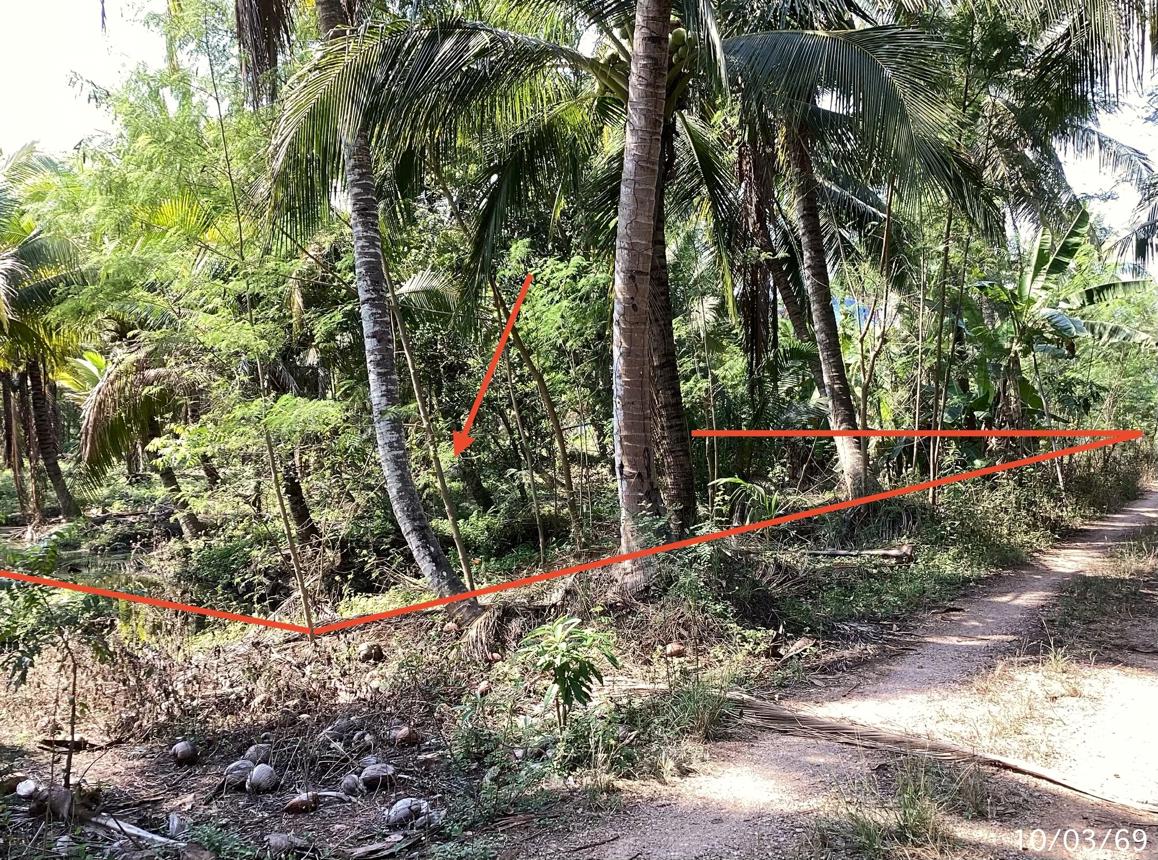 picture LAND 2400 Sq.w. Damnoen Saduak Ratchburi for 7.2M - 7/12