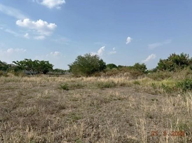 picture LAND 1355 Sq.w. Chiang Yun Maha Sarakham for 5.5M - 4/22
