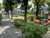 listing thumbnail image 13