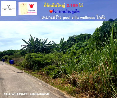 Land for sale Phattana Thong Thin Road Phuket : Beautiful plot of land, over 2 rai, Wichit District, Phuket City.