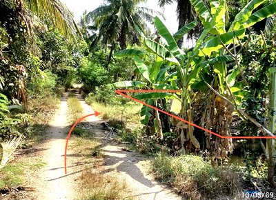 Land for sale Ratchburi : LAND 2400 Sq.w. Damnoen Saduak Ratchburi for 7.2M