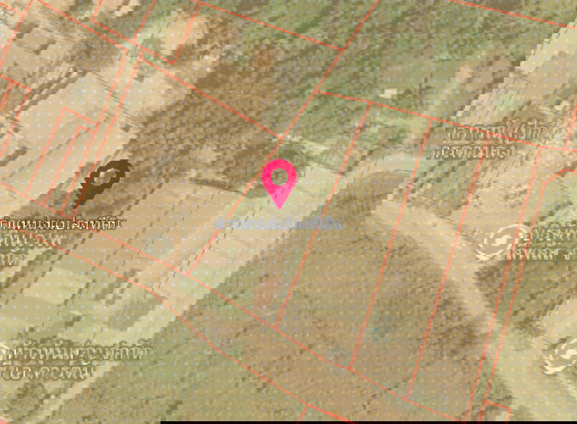 รูป ขายที่ดินพร้อมสิ่งปลูกสร้าง 2-0-5.6 ไร่ ต.บ้านบึง อ.บ้านบึง จ.ชลบุรี - รูปที่ 4/6