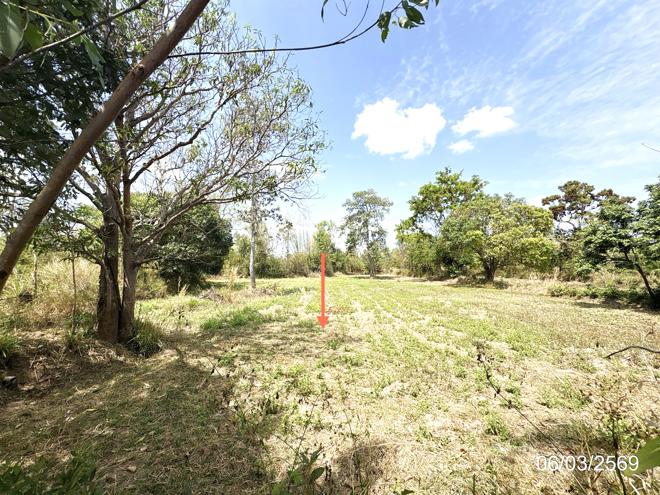 รูป ที่ดินว่างเปล่า 1361 ตร.วา ม่วงสามสิบ อุบลราชธานี 851,000 - รูปที่ 5/14