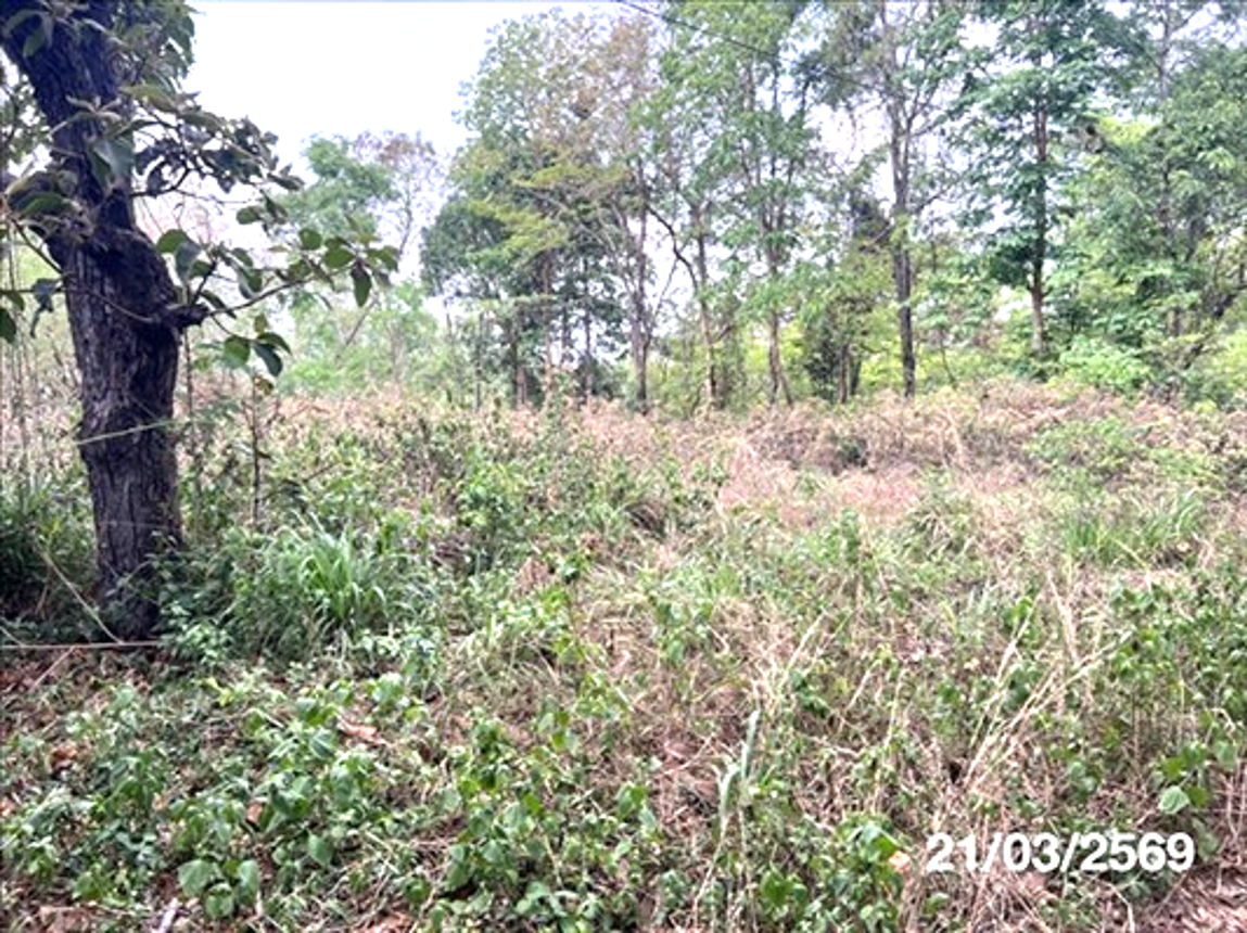 picture LAND 4050 Sq.w. Muang Samsip Ubon Ratchathani for 4.3M - 13/18