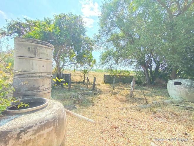 รูป บ้านเดี่ยว 836 ตร.วา โกสุมพิสัย มหาสารคาม 3.3M - รูปที่ 14/36