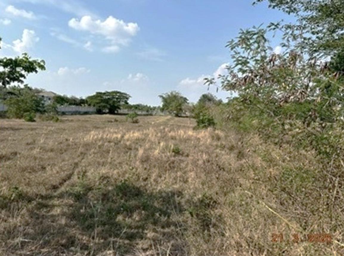 picture LAND 1355 Sq.w. Chiang Yun Maha Sarakham for 5.5M - 18/22