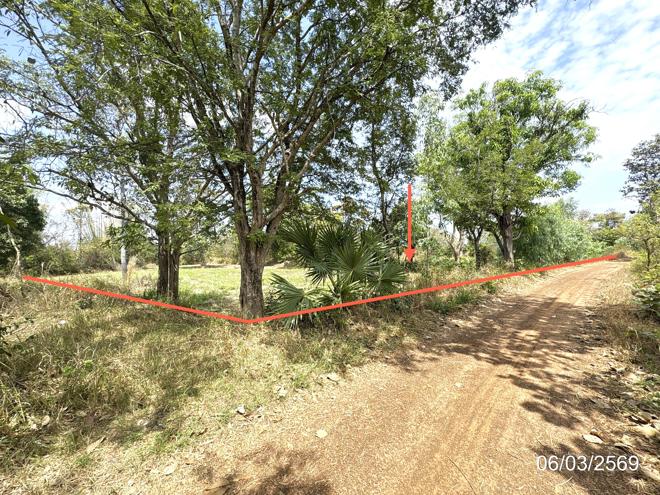 รูป ที่ดินว่างเปล่า 1361 ตร.วา ม่วงสามสิบ อุบลราชธานี 851,000 - รูปที่ 2/14