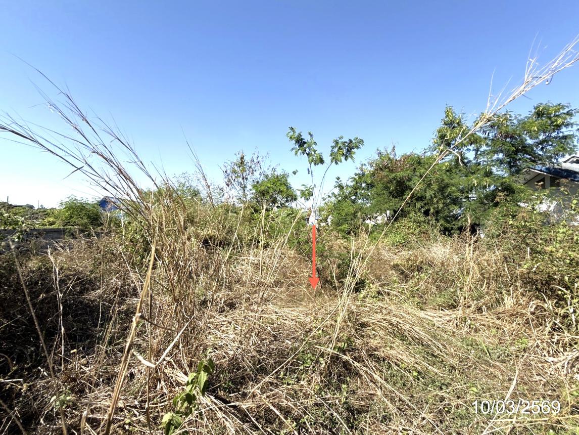 picture LAND 400.1 Sq.w. Warin Chamrap Ubon Ratchathani for 2.7M - 11/16