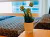 listing thumbnail image 39
