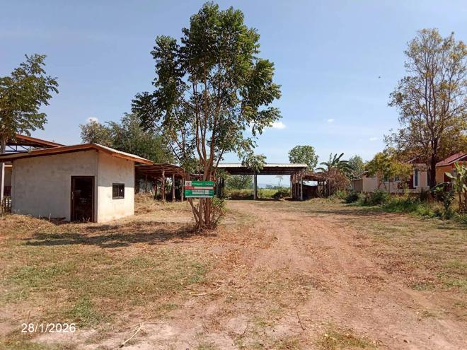รูป บ้านเดี่ยว 571 ตร.วา ภูเขียว ชัยภูมิ 2.9M - รูปที่ 15/36