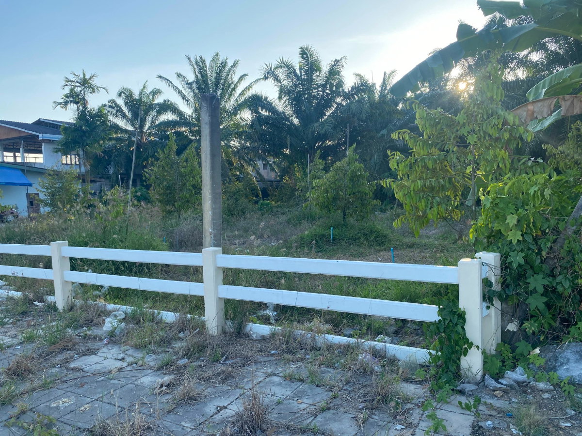 รูป ที่ดินมีรายได้ ทำเลอนาคต ตรงข้ามโลตัสเวียงสระ - รูปที่ 4/6