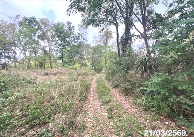picture LAND 4050 Sq.w. Muang Samsip Ubon Ratchathani for 4.3M - 5/18