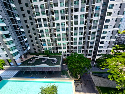 Condos for sale Pattaya : The Base Central Pattaya for sale below market price 1bed 1bath (pool View)