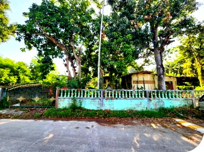 Houses for sale : FOR SALE  HOUSE PROPERTY  959000 BAHT.