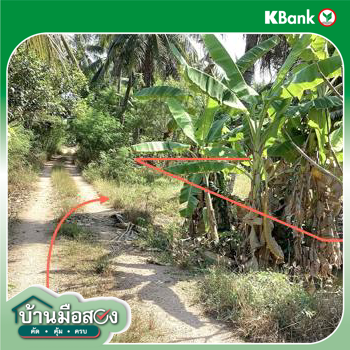 picture LAND 2400 Sq.w. Damnoen Saduak Ratchburi for 7.2M - 10/12