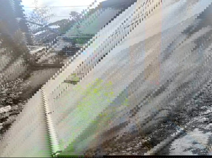 รูป ขายด่วน!! ที่ดินพร้อมบ้านเดี่ยว 2 ชั้น ซอยรามอินทรา 91 พื้นที่ 46 ตรว. ราคา 2.5 ล้านบาท - รูปที่ 14/14