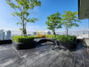 listing thumbnail image 29