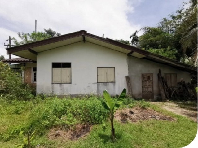 รูป BP00131 ขายบ้านเดี่ยว ตำบล เขาพนม อำเภอ เขาพนม จังหวัด กระบี่ - รูปที่ 7/8